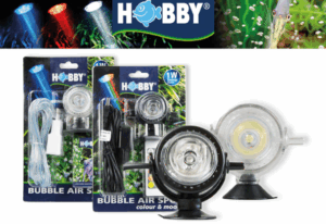 HOBBY