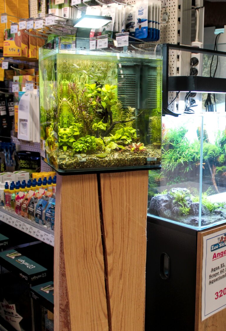 aquaristik_hochformat